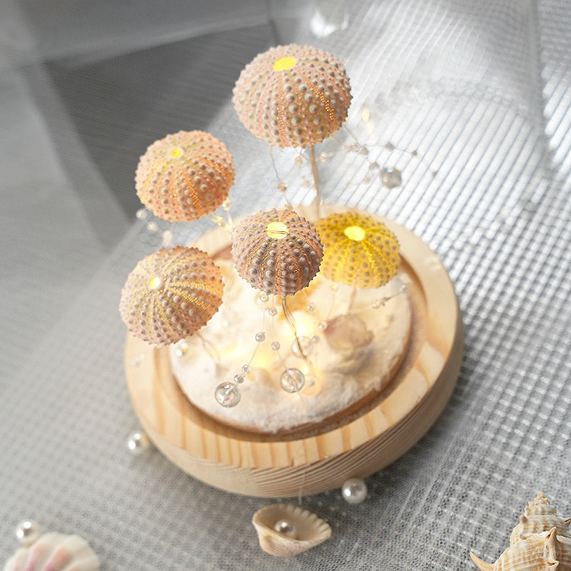 Sea Urchin Shell Jellyfish Light